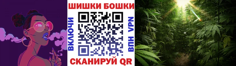 omg ТОР  купить наркотики сайты  Оха  Бошки Шишки ГИДРОПОН 